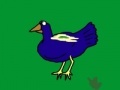Fan of Birds