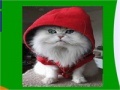 Hooded cat slide puzzle