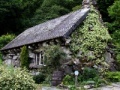 Puzzles: Cottage