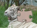 Jigsaw White Tiger 