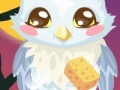 Owl Care