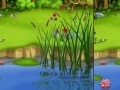 Berry Meadow