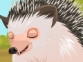 Cute hedgehog care