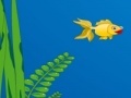 Gold fish escape