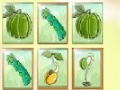 Fruit Match