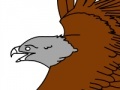 Birds Coloring Book
