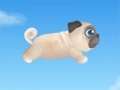 Pug The Dog
