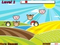 Animal Click