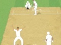 Cricket Umpire Decision