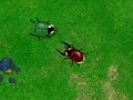 Beetle Wars