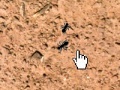 Ant Splat