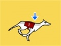 Greyhound Racer DX