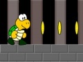 A Koopa's Revenge