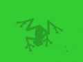 Frog.