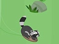 Feral Slalom