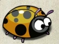 Nervous Ladybug