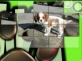 Pretty Puppies Puzzles